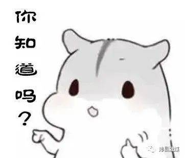 2021年沛县总人口_沛县2021年征兵