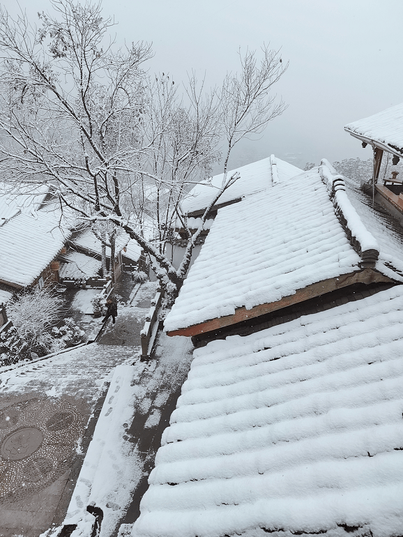 2021年都江堰第一场雪,果然没让我们失望!