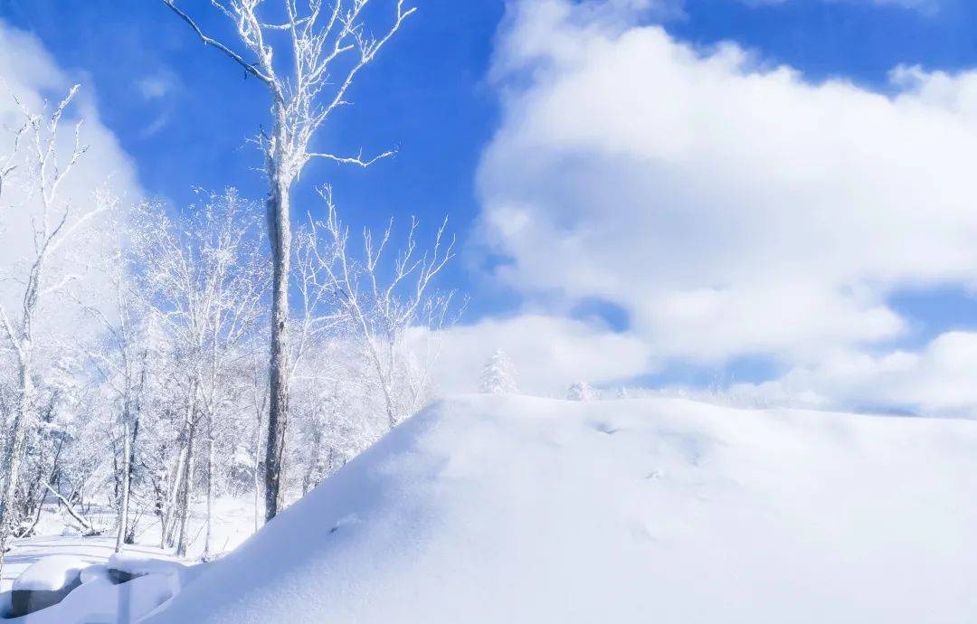 小青梅在东北,为你免费雪地写字!