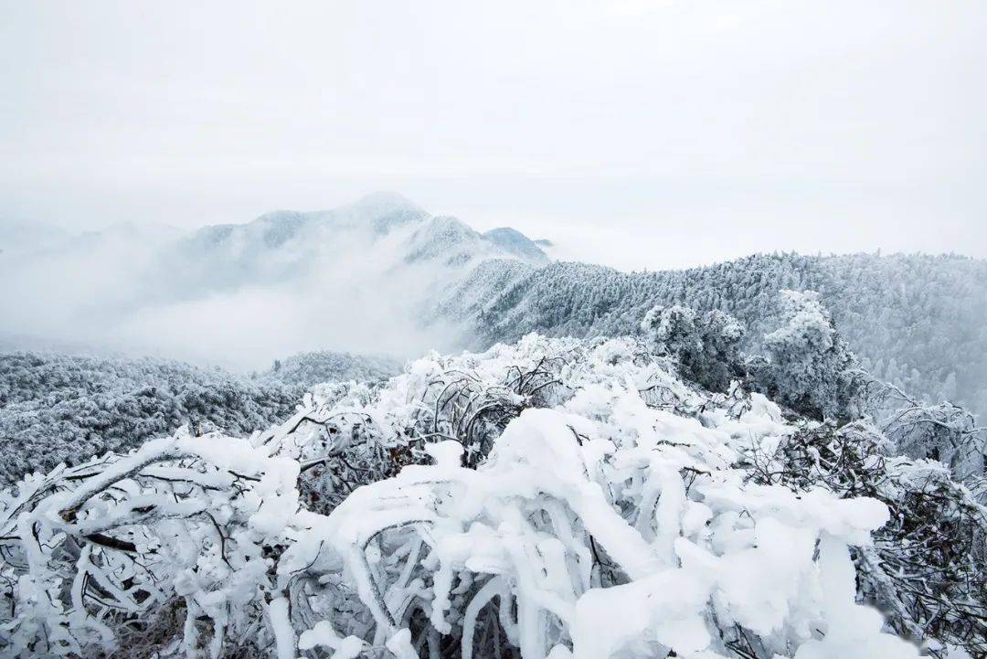 【冰雪衡山特价358元】登祝融峰祈福赏绝美雾凇