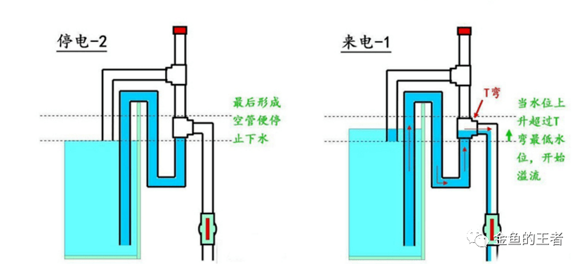 技巧鱼缸加套这种管子美观又好用停电自停来电自启