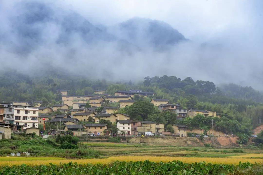 南平地区有多少人口_南平各县人口排名图片