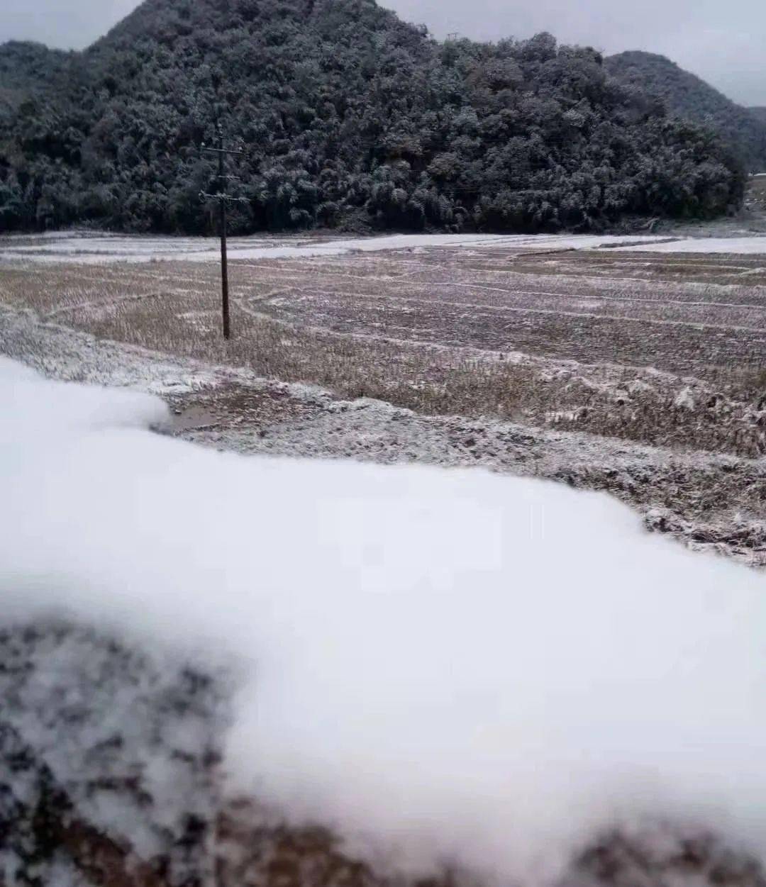 今天,文山多地下雪啦!接下来还有