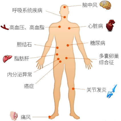 fe47743a3bc44595a18021db35419834.png