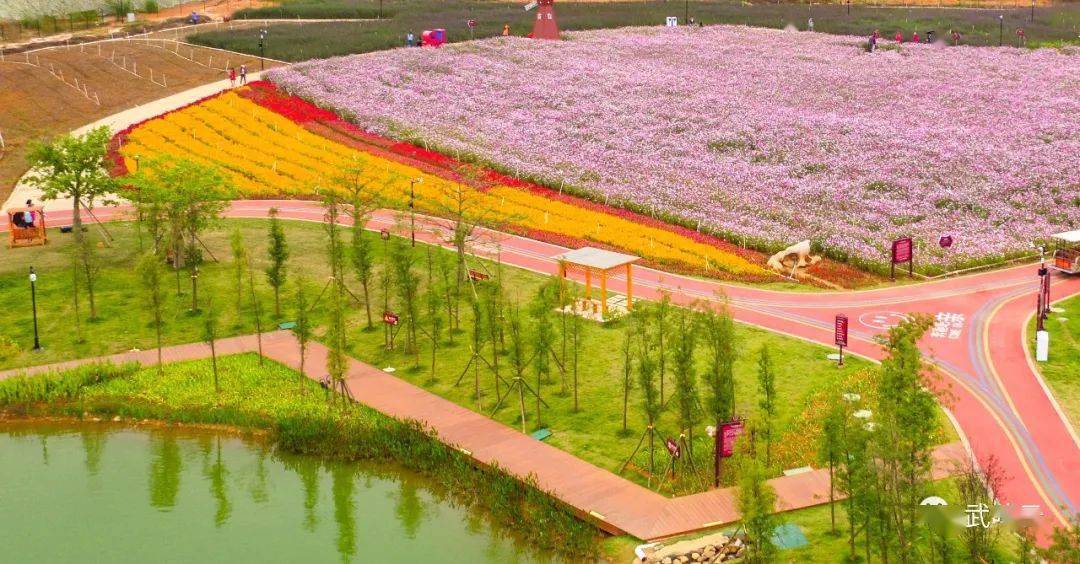 武鸣gdp_武鸣沃柑图片(2)