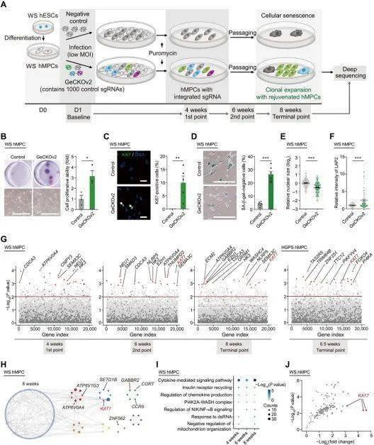 图片来自science translational medicine, 2020, doi:10.