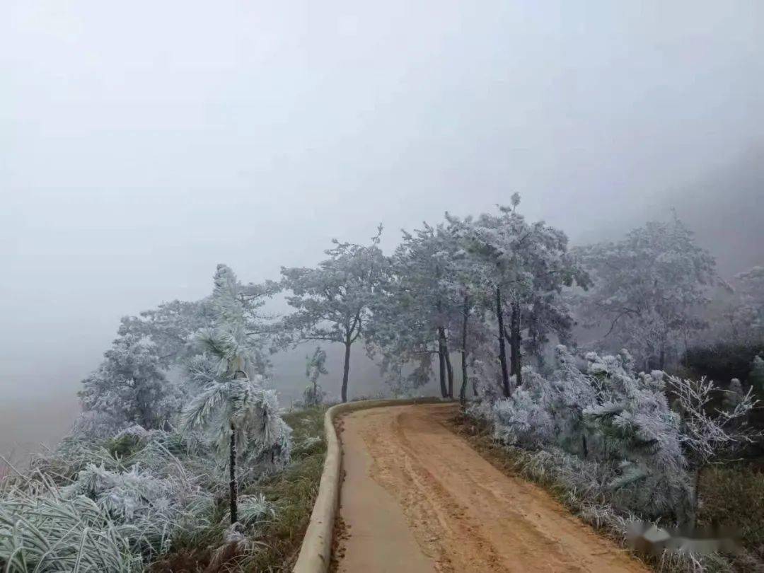 再上大芹山网友惊呼这才是冬天应有的样子