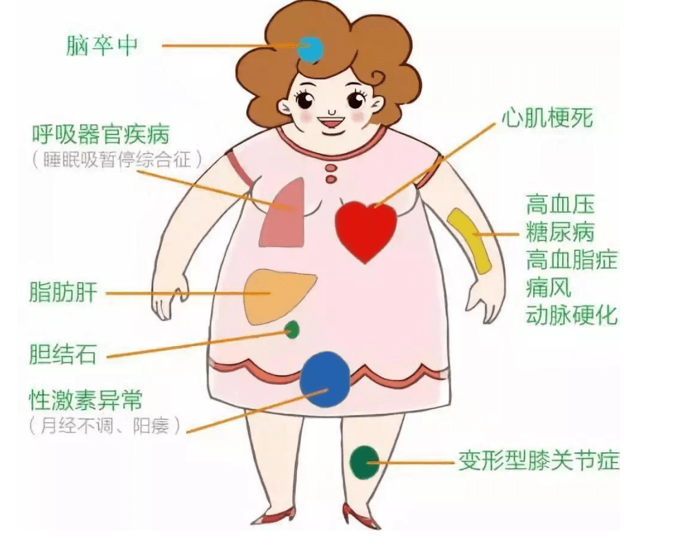 【要闻】晒晒市一医院医学减重门诊2020年的减重成绩,您心动吗?