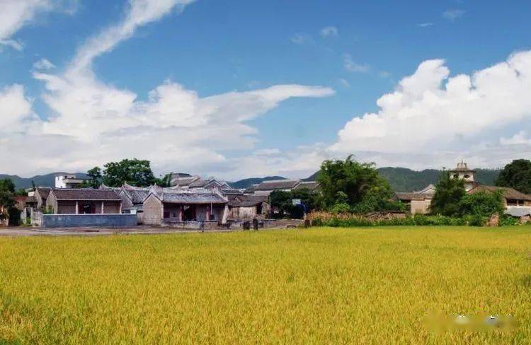 郁南人口有多少_郁南大王山森林公园(2)