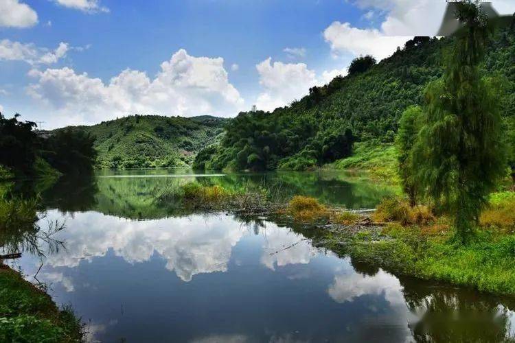 郁南人口有多少_郁南大王山森林公园