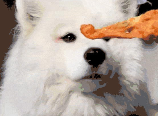 45732a6bf5374ac6a41efd29bf988690.gif