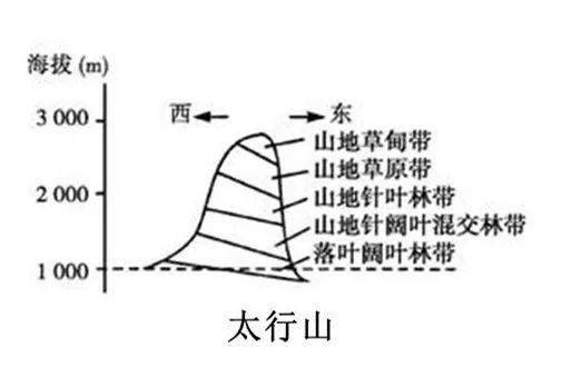 干货| 18座山脉的垂直自然带谱,总结全了!