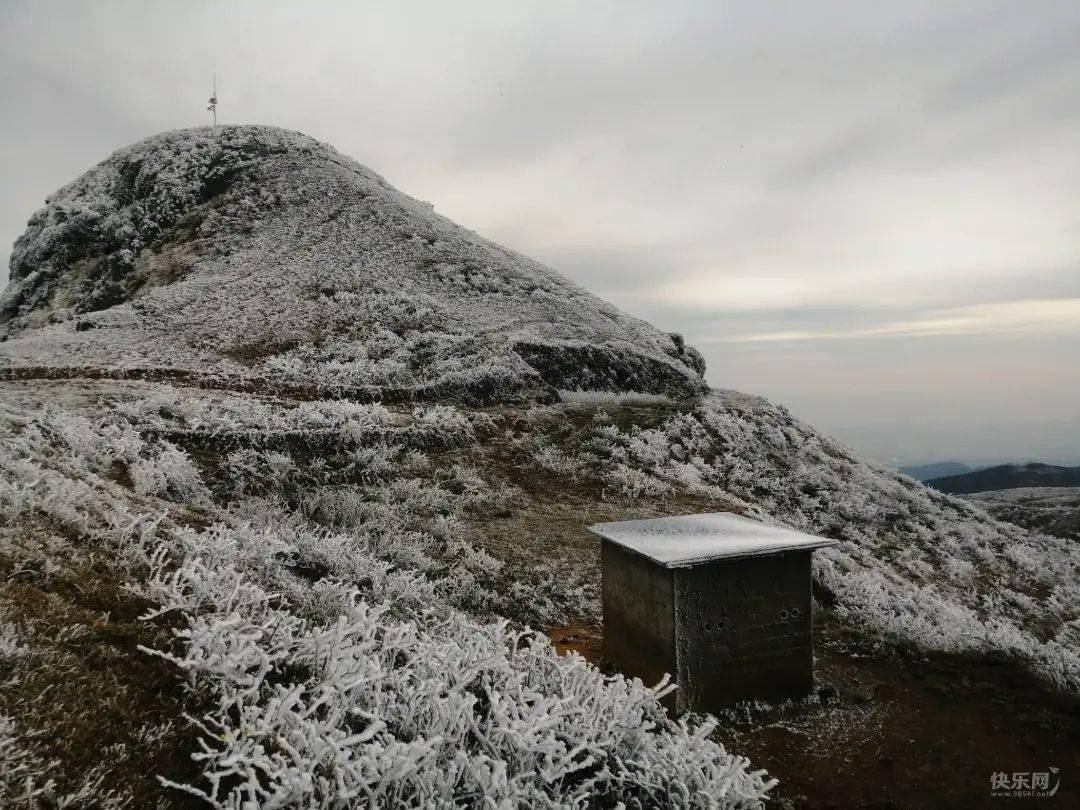 平天山恢复开园来邂逅一场雾凇美景