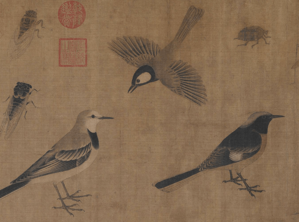 黄荃 非本次展品 徐熙粗笔重墨,笔迹清晰,略施薄彩,素有"落墨花"之称