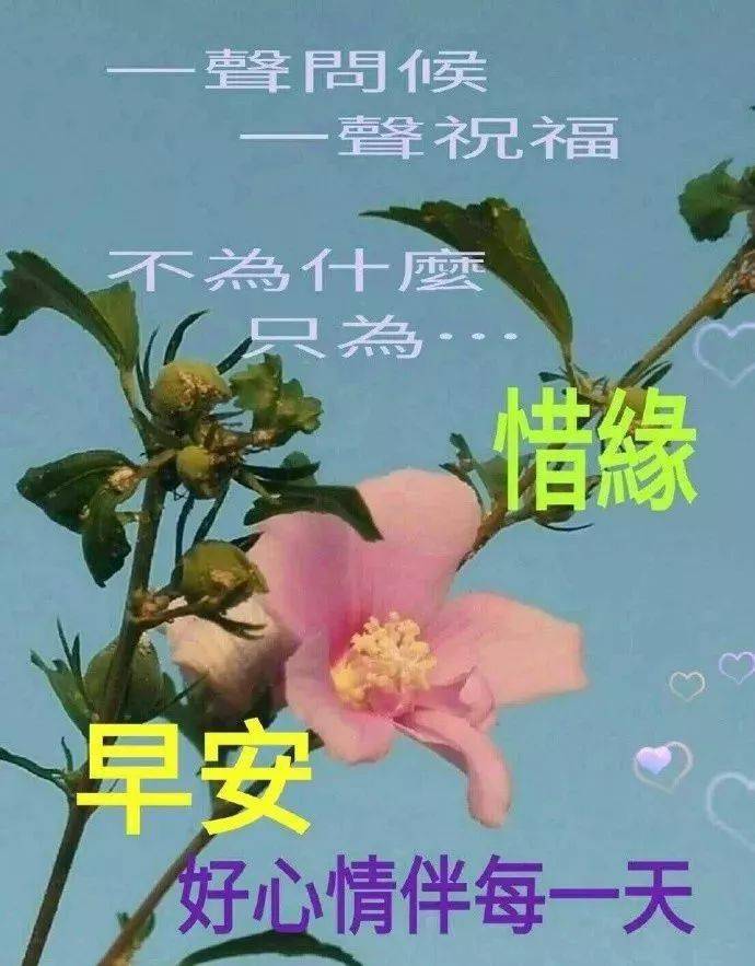 早上好祝福图片2021,2021第一个问候图片 2021寒冬微信群发早安祝福图片,早上好祝福语录大全