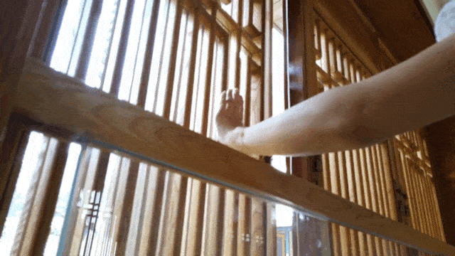 公共空间内随处可见的窗户