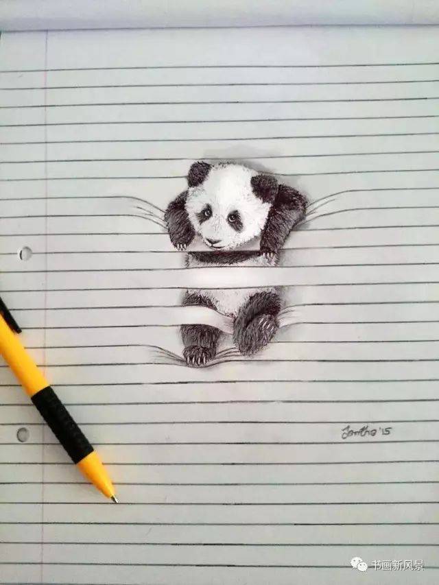 南非小女孩铅笔画的3d动物,超可爱!