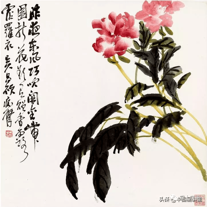 花卉清供图册,清雅悦目!