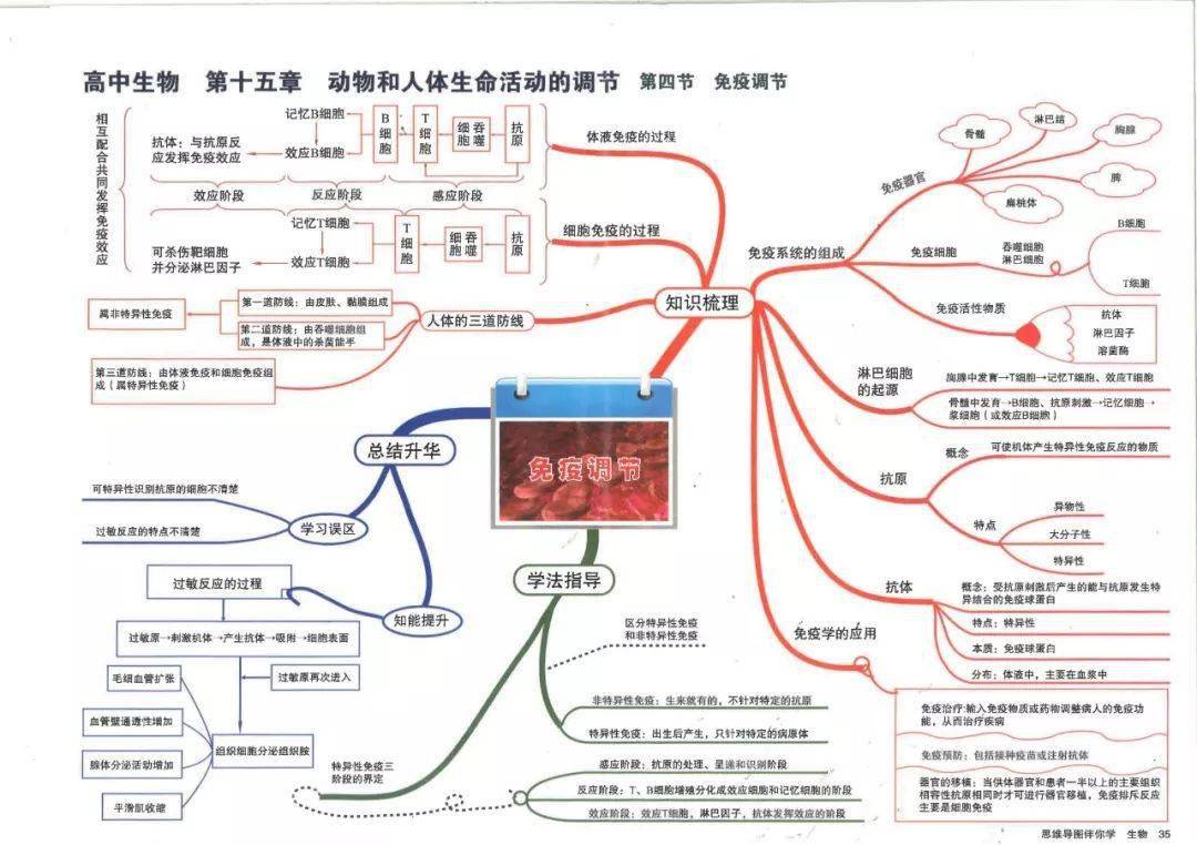 高中生物:45张思维导图,涵盖三年全部知识点,重点