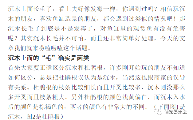 别害怕简谱_别害怕有我在图片(3)
