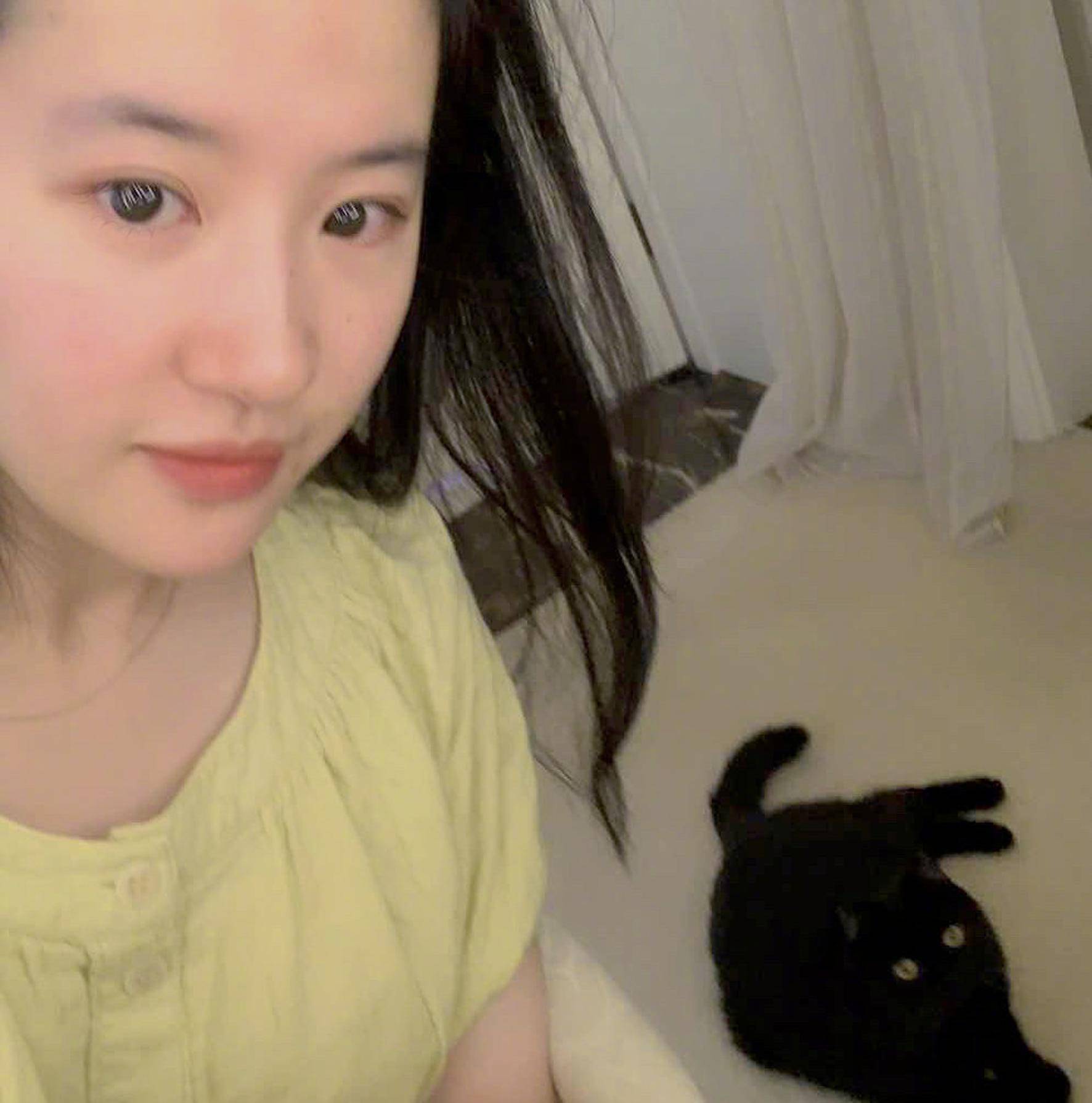手机如何自拍头像 69c379eeff254cbc8401ec74da106896.jpeg