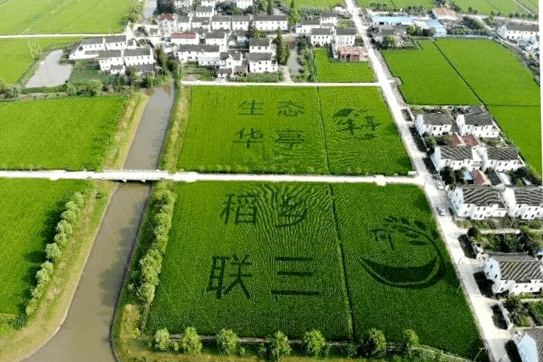 三嘉乡人口_人口普查(2)