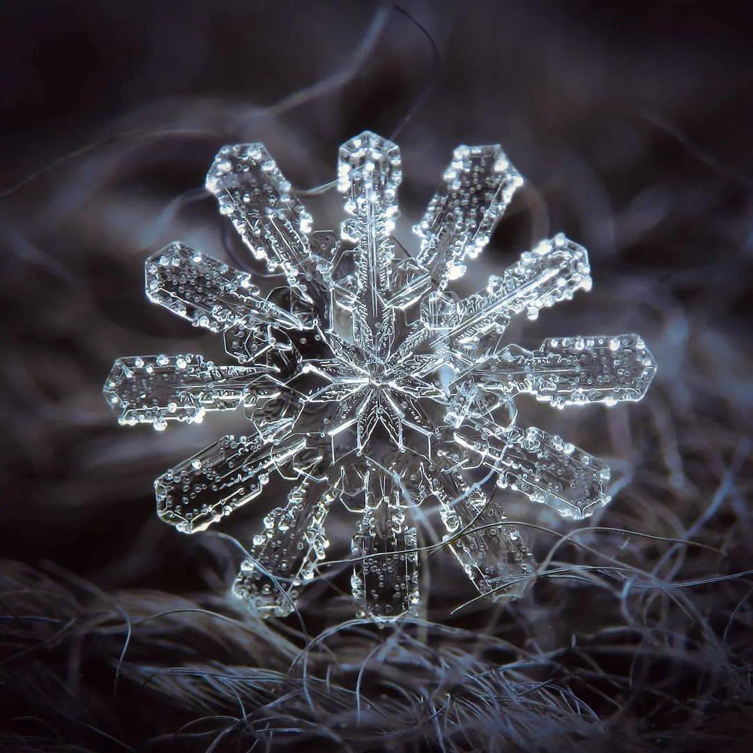 冬天是什么形状?让它来告诉你_雪花