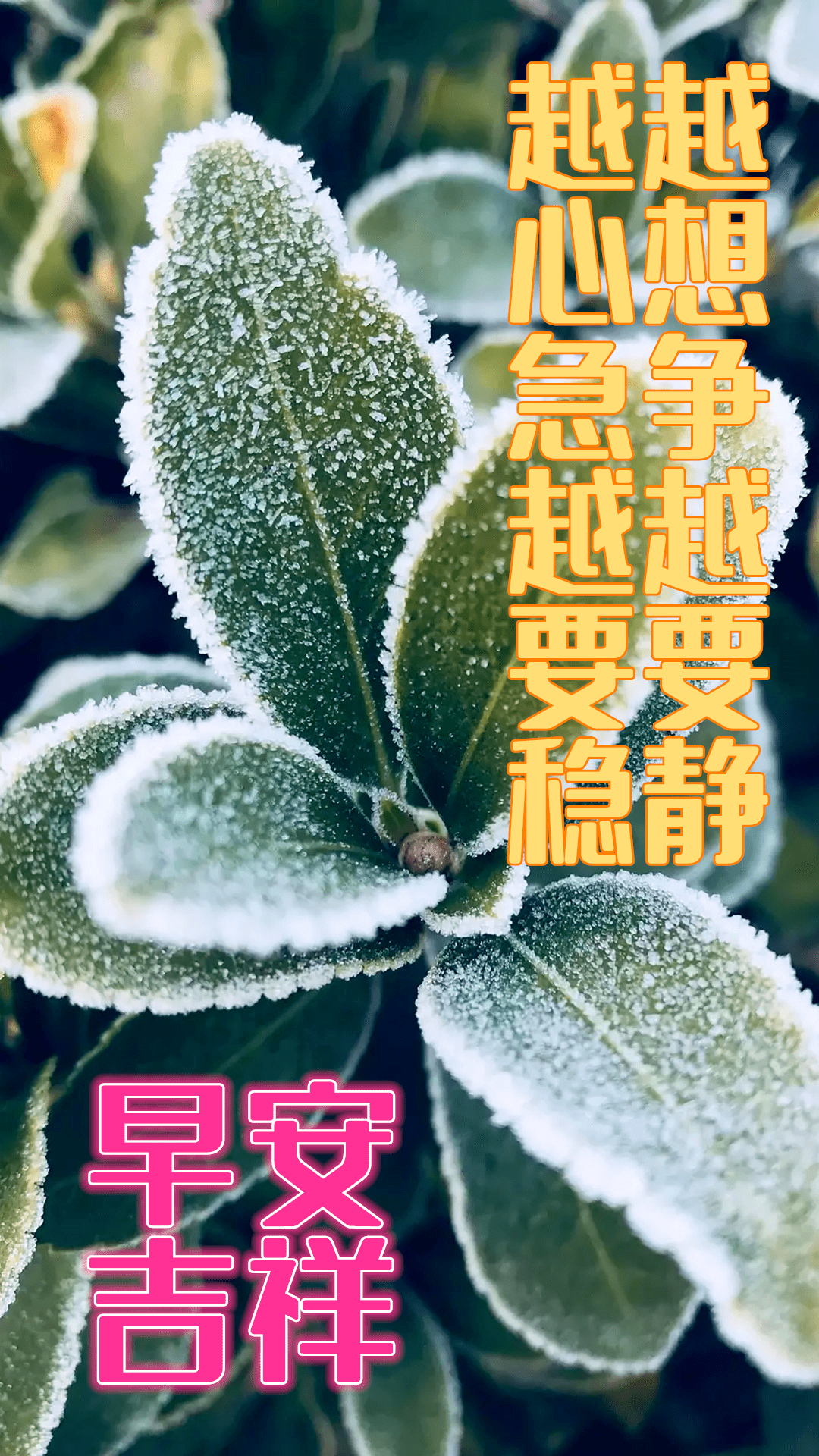 b46e3013c8544c8da2dcf6bdf0abd1be.png