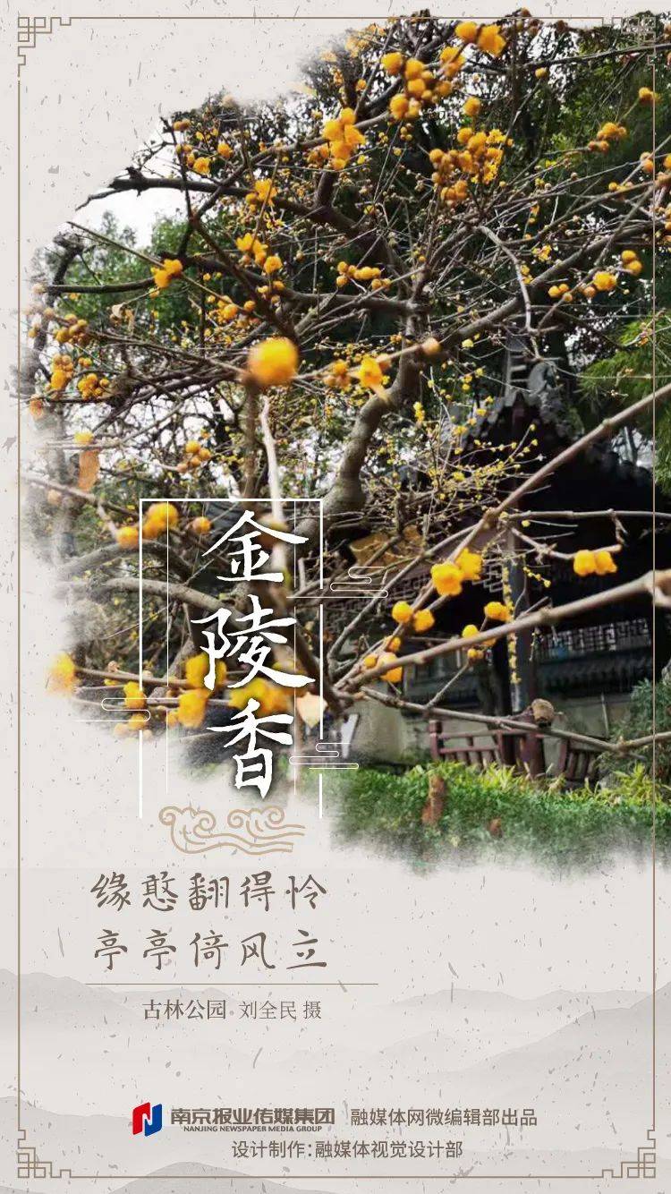 香多少人口_全球有多少贫困人口(3)