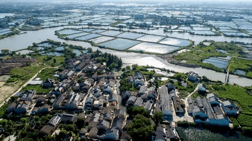 南浔区菱湖镇竹墩村