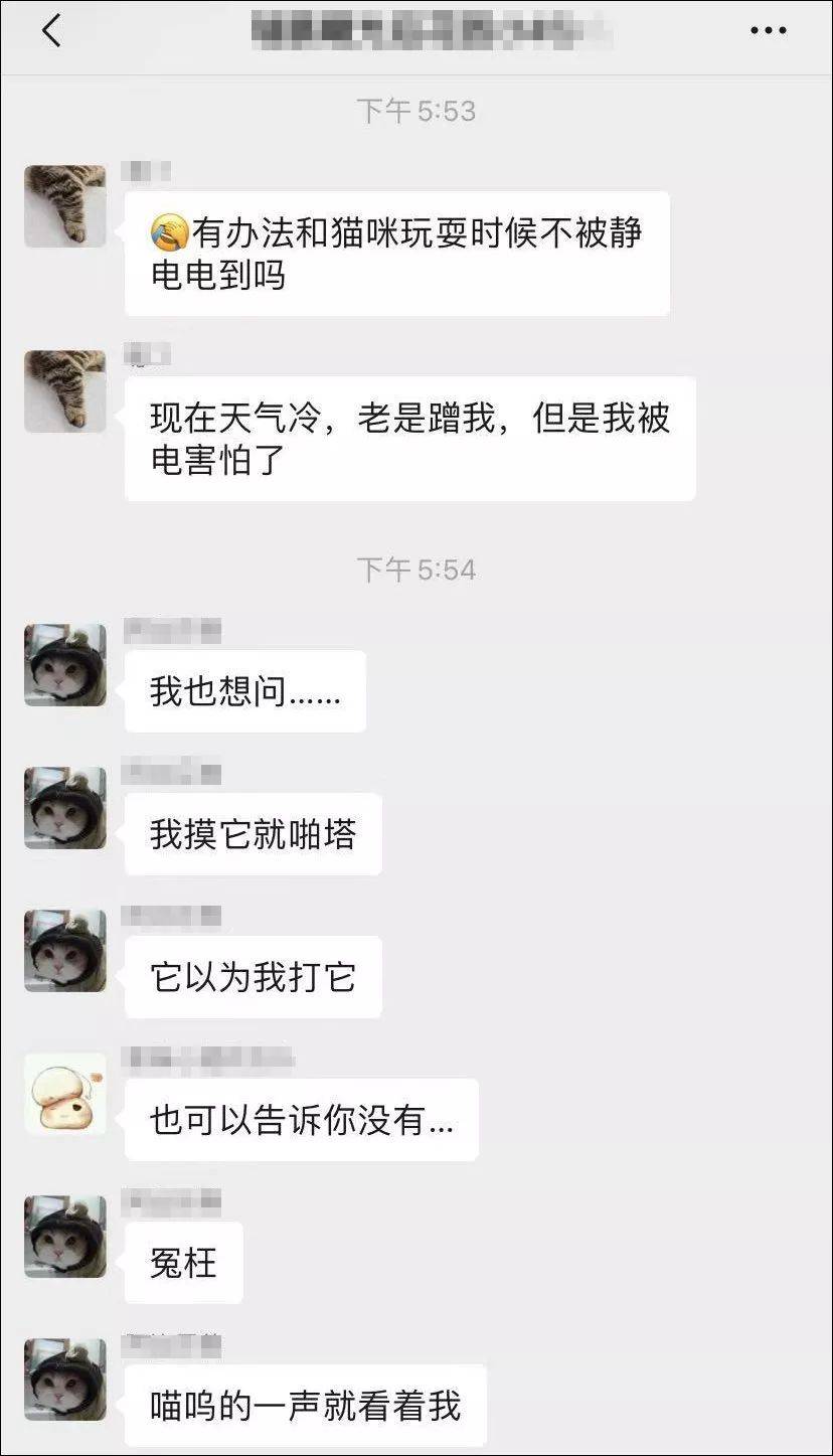 沒想到，靜電竟讓我和貓反目成仇！ 萌趣萌寵 第3张