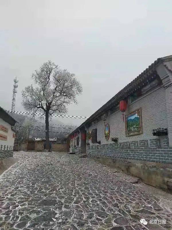 北京2021年第一场雪来了!寒潮天气再次袭来,周六最低温