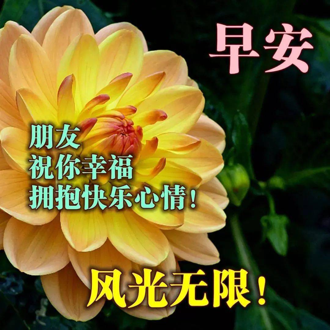 大家早上好,愿你平安健康,幸福快乐每一天!