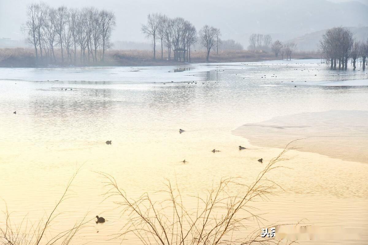 云南省会泽有多少人口2021年_会泽2021年雪景图片