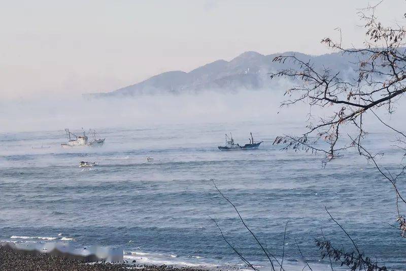 "海浩"是海雾吗?