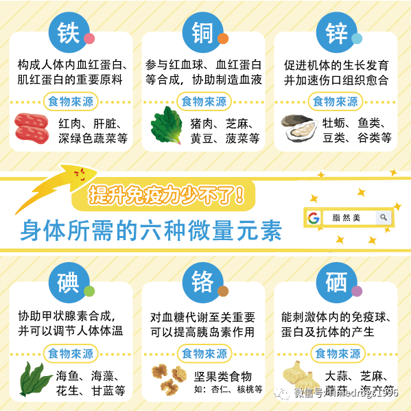 [战胜疫情]微量元素与提升免疫力的微妙关系!_人体