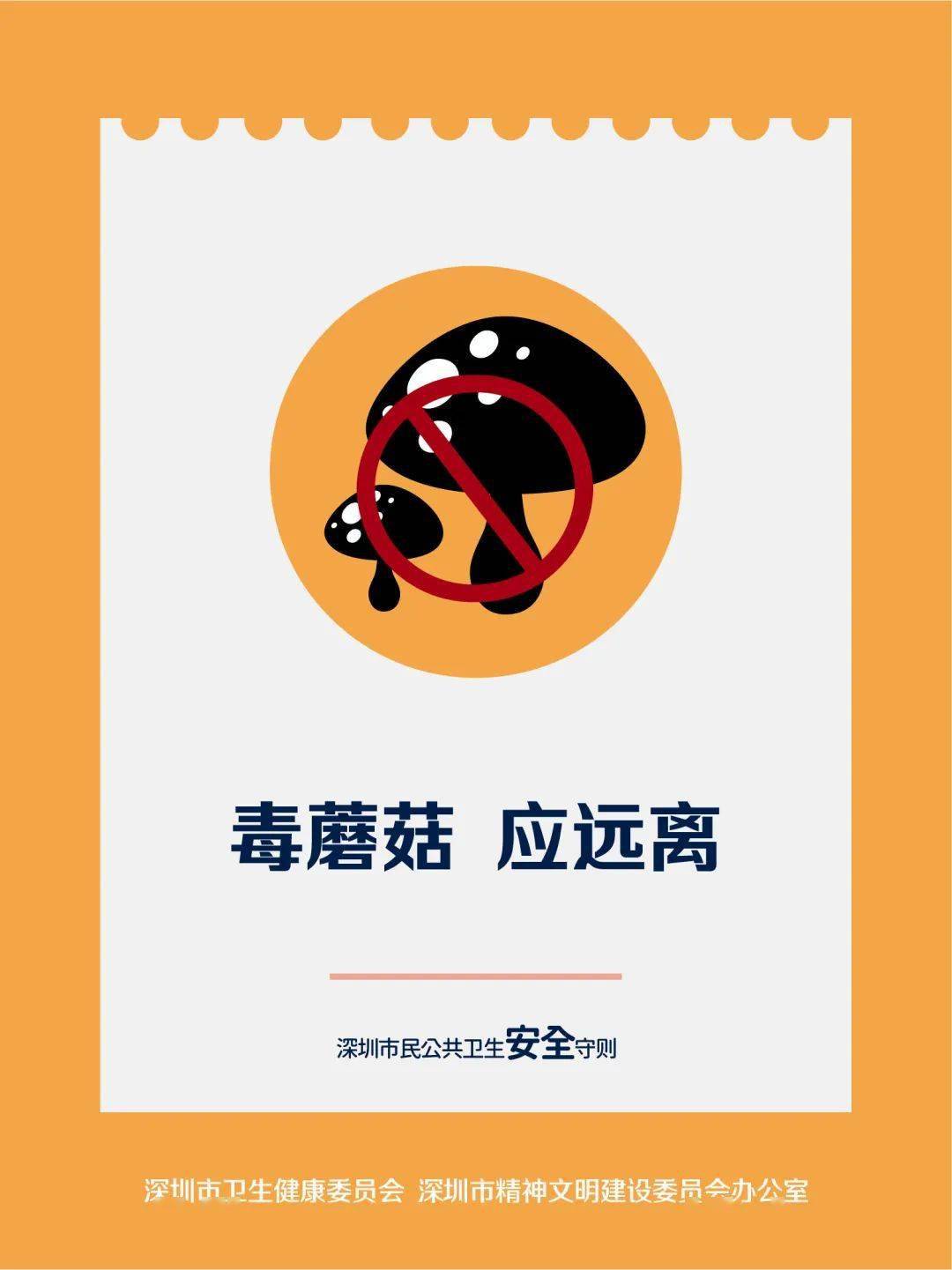 澎湃新闻官网公众号 12df49c7e7fb453cb5d58b6ab7c51514.jpeg