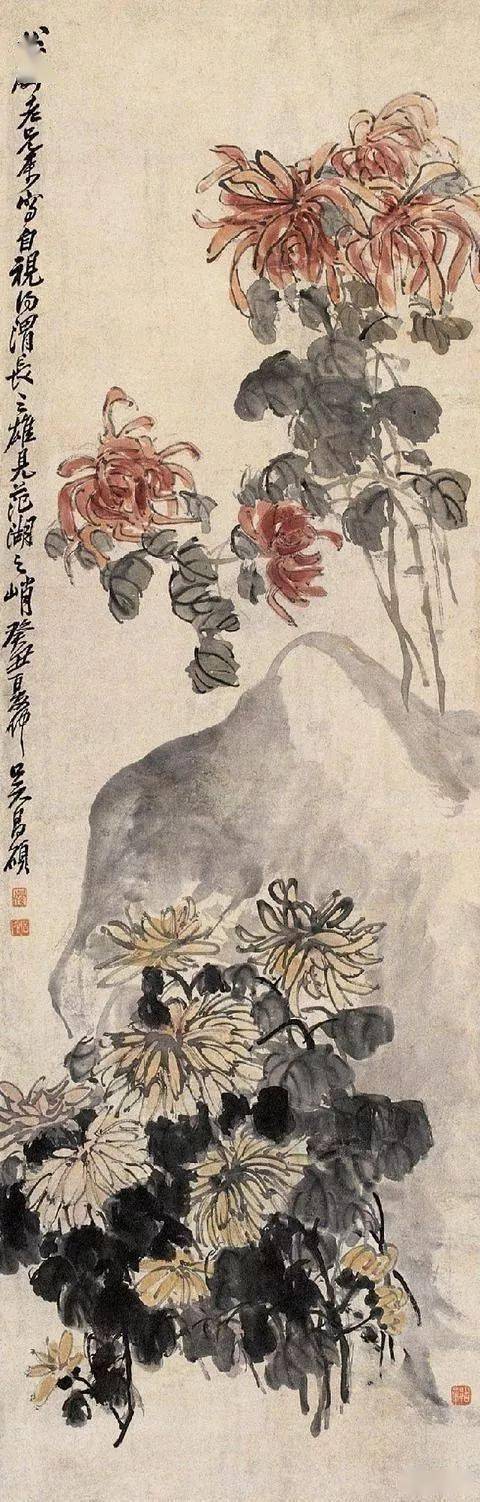 在吴昌硕众多菊花作品中,我们不难发现,设色轻盈的往往被安排在上部