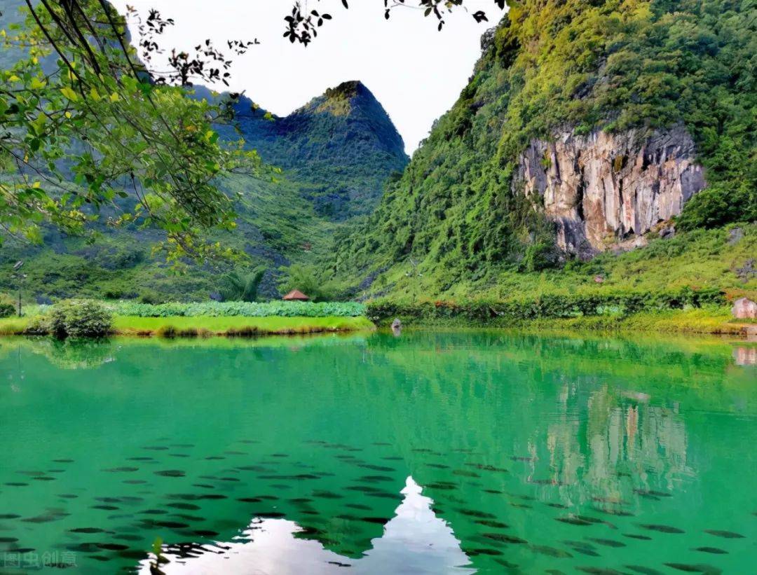 袖珍版桂林山水!在靖西鹅泉,赏秀美风光 | 冬游广西