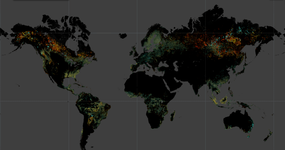 4幅全球森林地图,带你了解森林生态系统服务的重要性