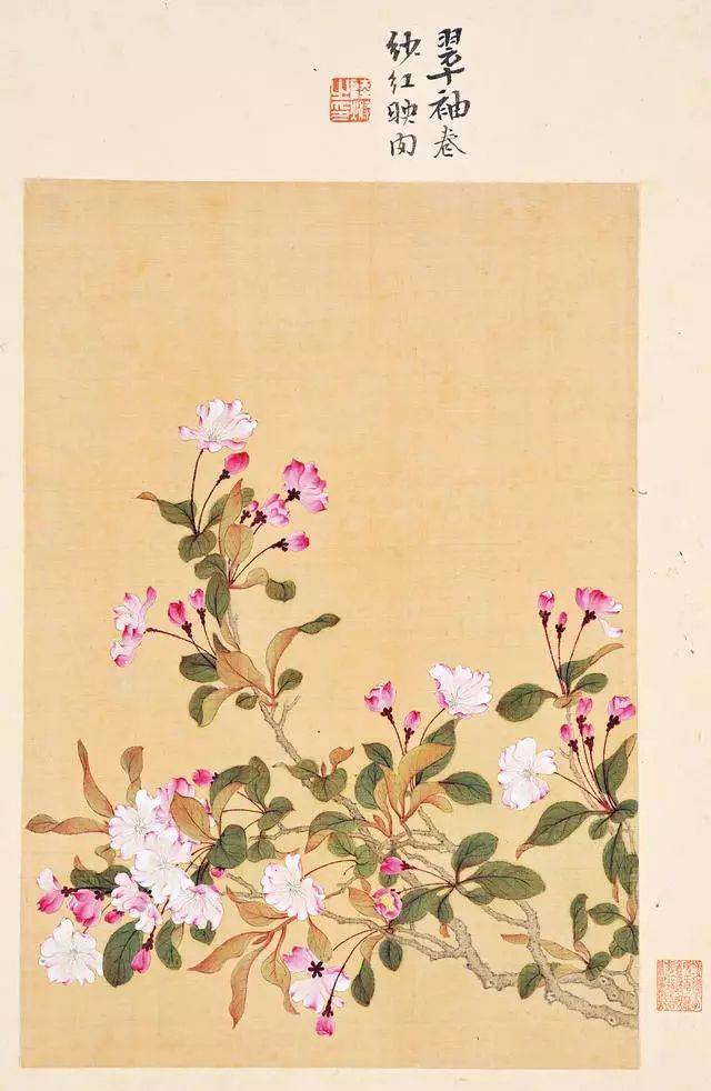 清代名家花鸟册页——文人画的浓缩之美