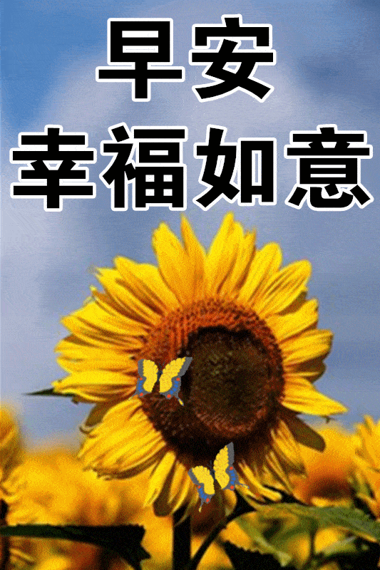 1月17日最漂亮早上好动态表情图片大全,早晨好动图美图大全