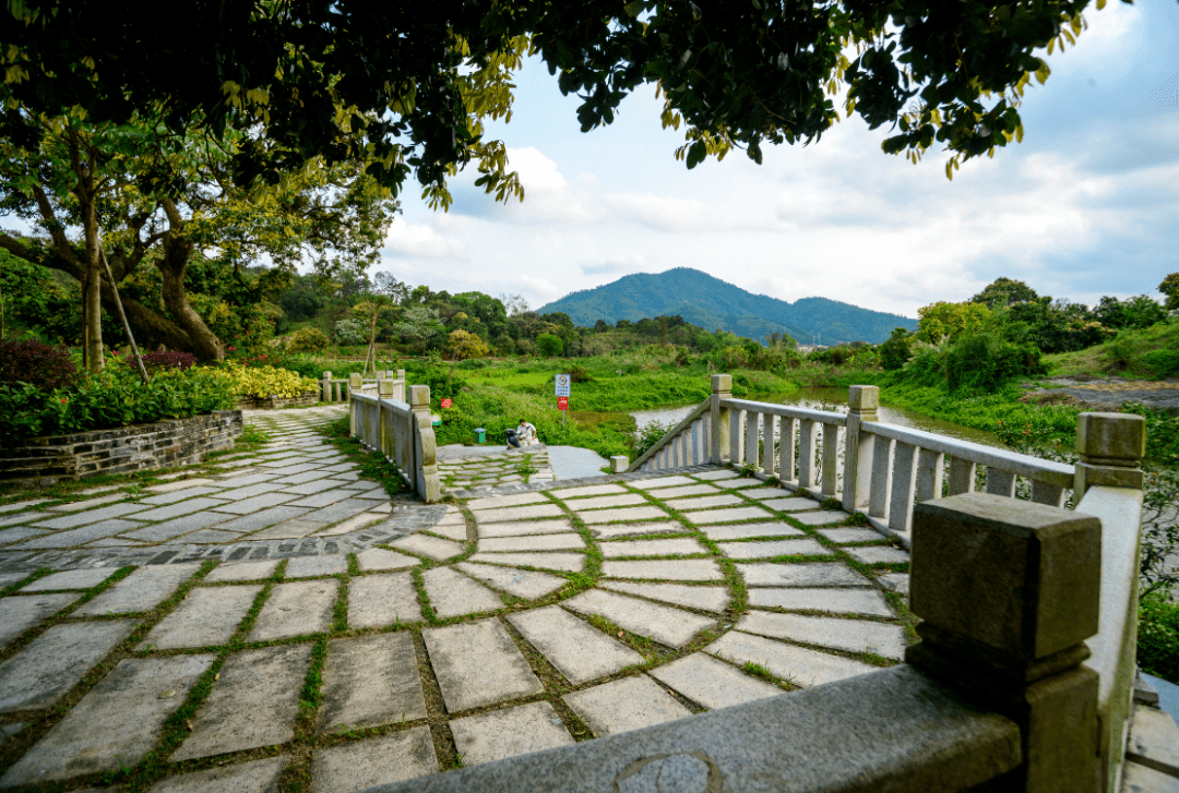 丁曹村人口_人口普查