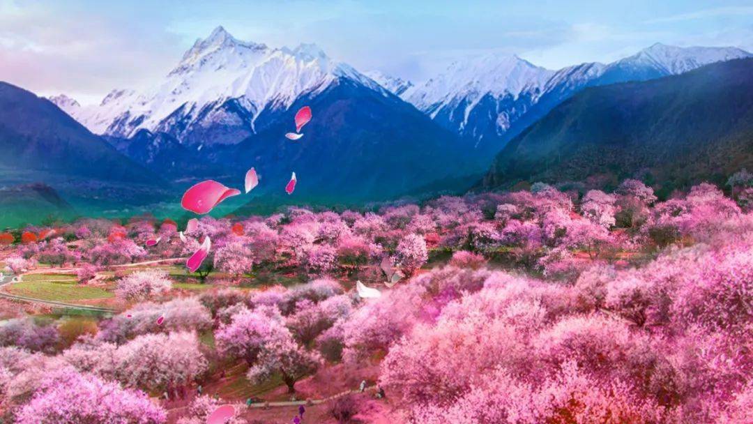 绵延30公里,是西藏著名的风景区,是一年一度林芝桃花节的重要组成