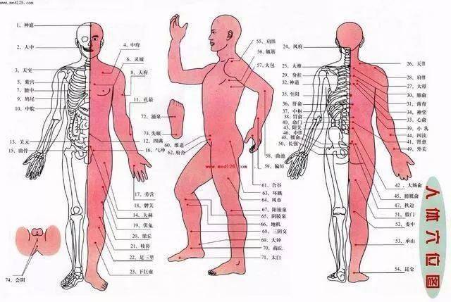 人体常见50个穴位位置,作用,按摩手法,图文取穴,纯干货