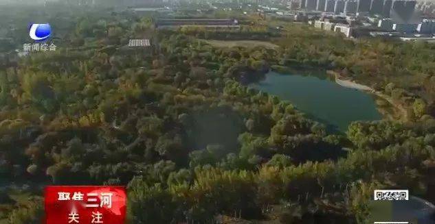 河北三河电厂 招标_矿山挖矿损坏土地树木跑了由谁负责_三河市矿山土地招标