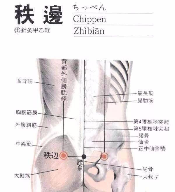 人体常见50个穴位位置,作用,按摩手法,图文取穴,纯干货