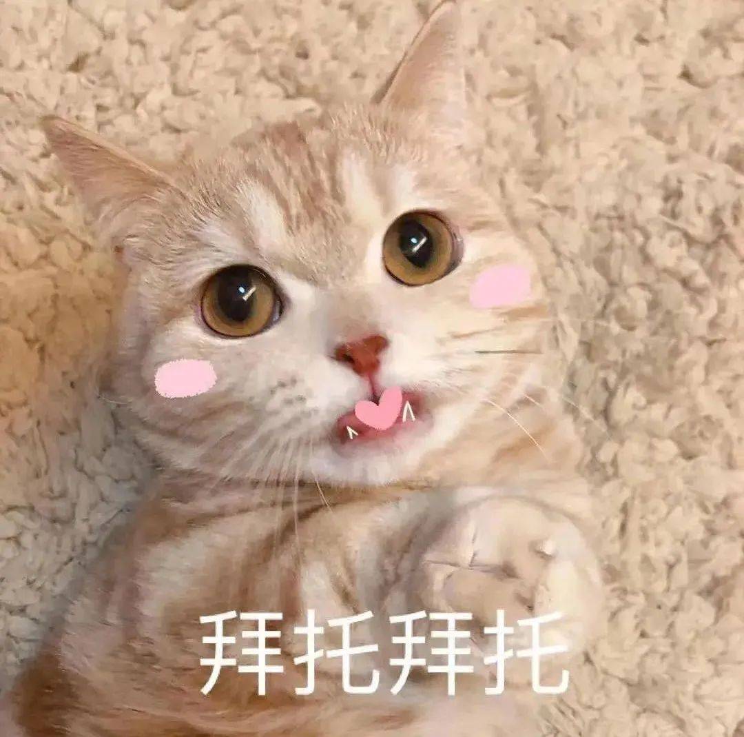 抖音热门潮图表情