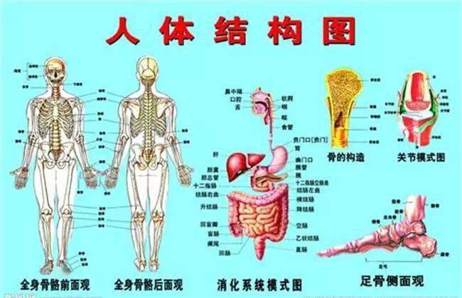 认识太极拳中的气,力,劲