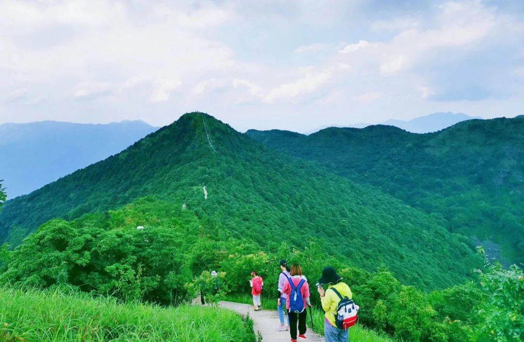 一览众山小 在山野间,积蓄前行的力量  天堂顶是南昆山的主峰 海拔